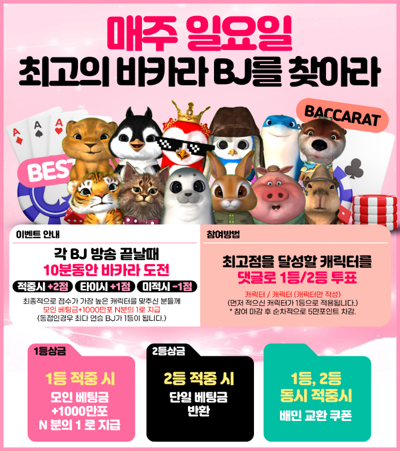 [11월16일] 최고의 바카라 BJ를 맞춰라 55회차