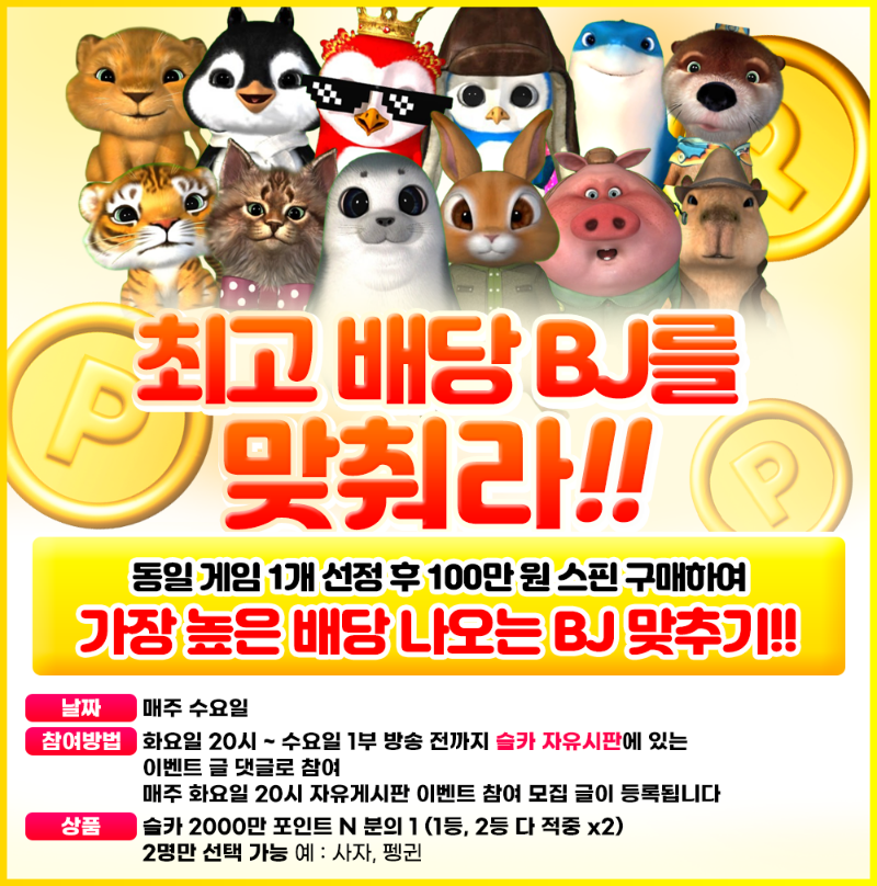 슬카 최고 배당 BJ를 맞춰라