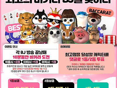 슬카 최고의 바카라 BJ를 찾아라 !!
