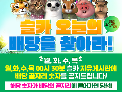 슬카 오늘의 배당을 찾아라