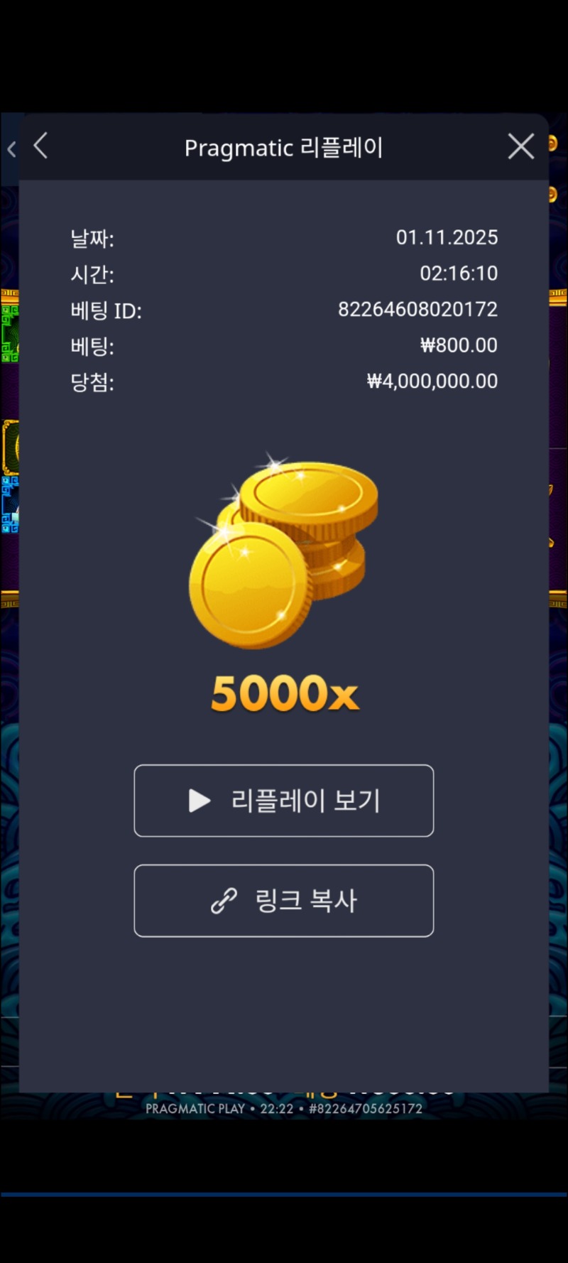 오라메 5000배