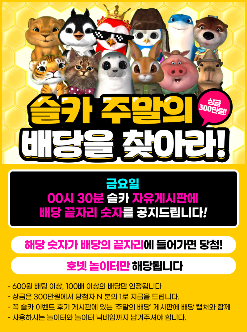 [11월14일] 71회차 주말의 배당을 찾아라. 번호 발표!!