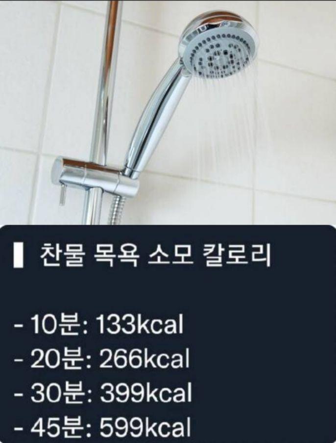 샤워로 살빼는법