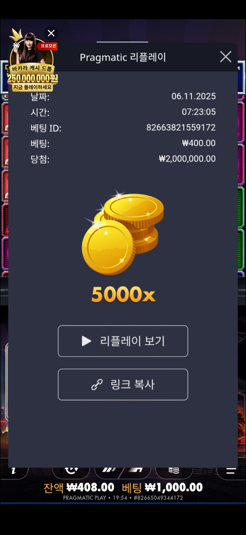 카지노강도 맥스