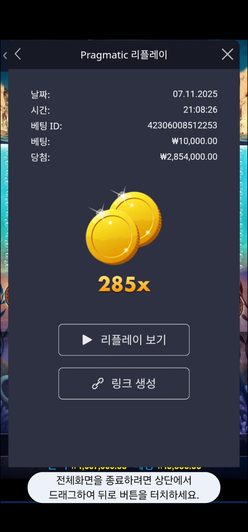 베스스플래시 285배