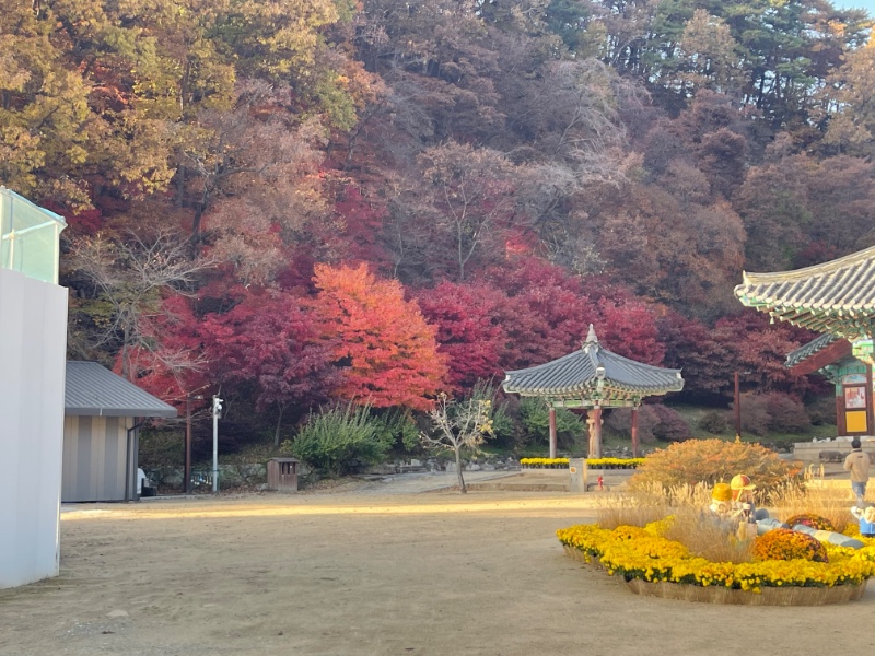 여자친구 부모님 모시고 속리산 ㅋ