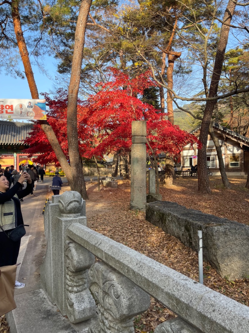 여자친구 부모님 모시고 속리산 ㅋ