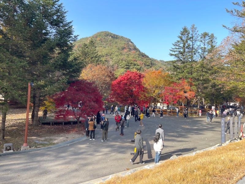 여자친구 부모님 모시고 속리산 ㅋ
