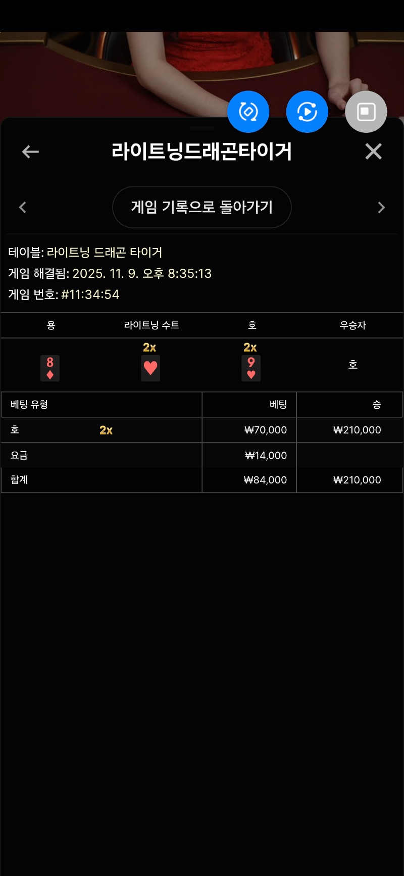 라이트닝ㅇ용호