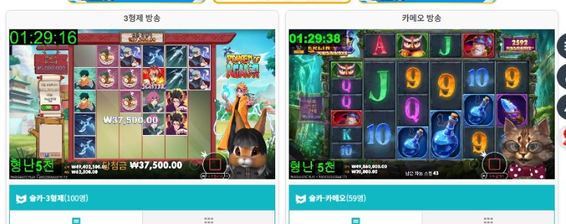 형난 시작했어요~~