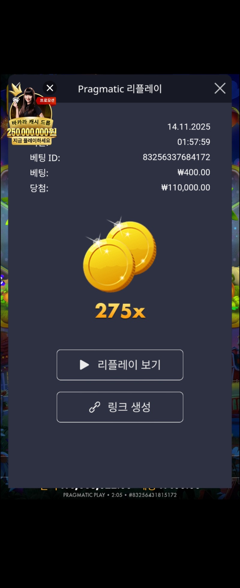 황금조리개275배