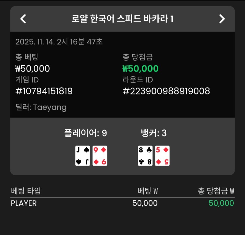 바카라 플레이어 2승