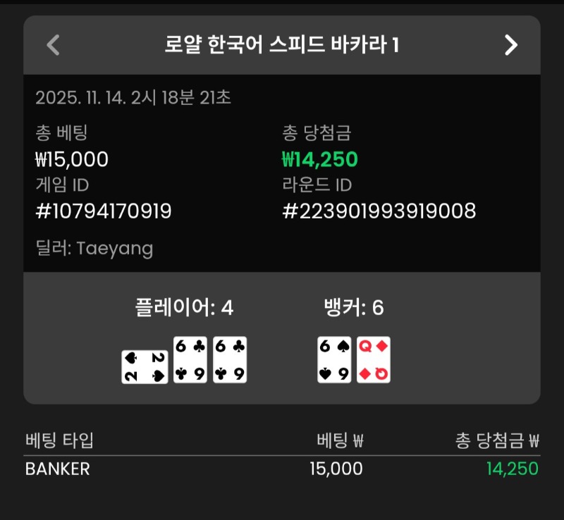 바카라 뱅커 승