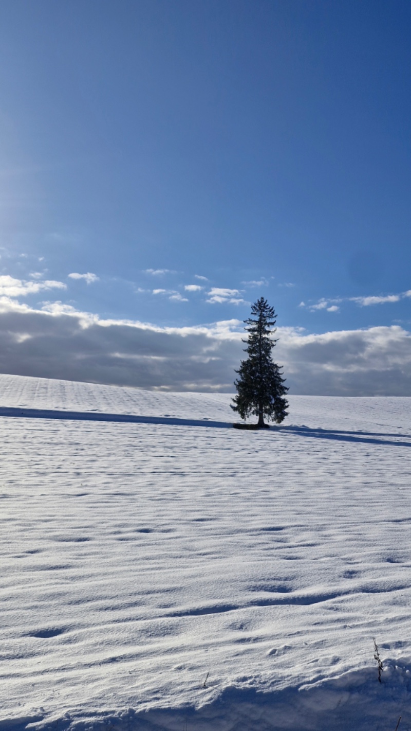 삿포로에서 퀑.붱 봤다 ㅠㅠ
