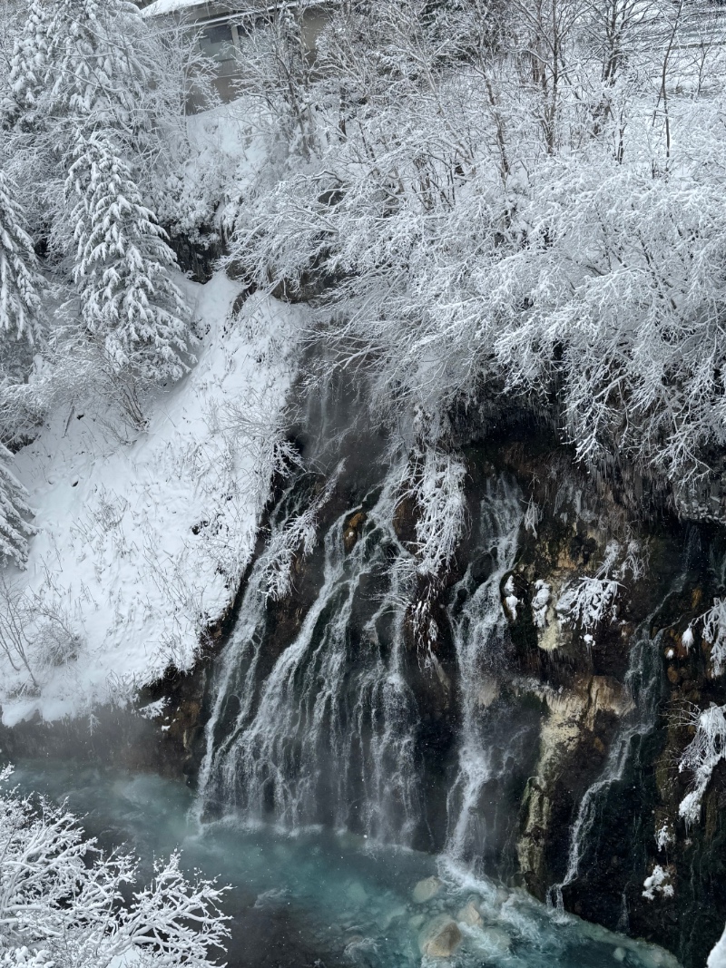 삿포로에서 퀑.붱 봤다 ㅠㅠ