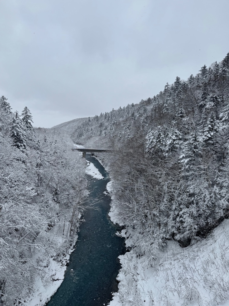 삿포로에서 퀑.붱 봤다 ㅠㅠ