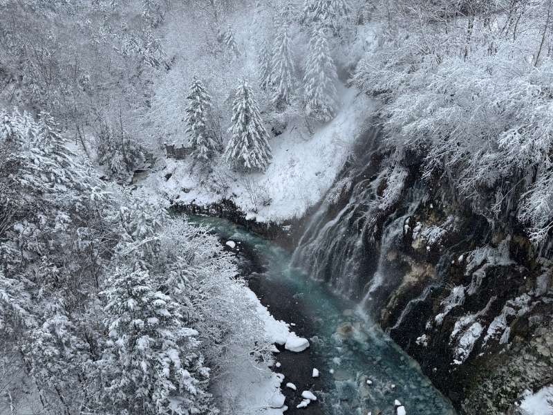 삿포로에서 퀑.붱 봤다 ㅠㅠ