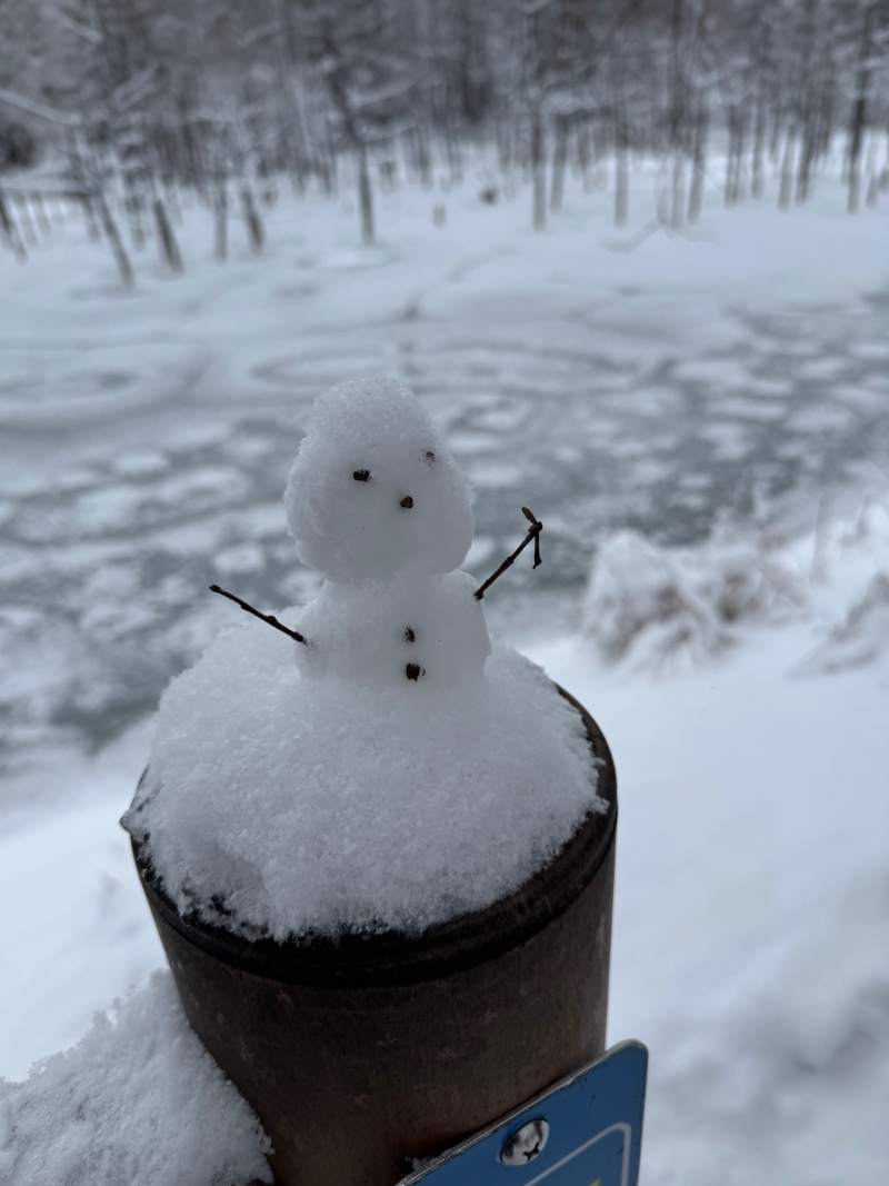 삿포로에서 퀑.붱 봤다 ㅠㅠ