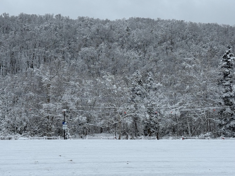 삿포로에서 퀑.붱 봤다 ㅠㅠ