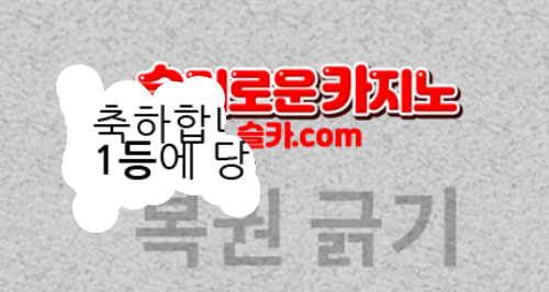 헉... 펭귄의 행운이 찾아왔습니다.