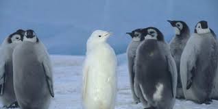 일복 1등 당첨기념 럭키포인트 이벤트  16:30까지!