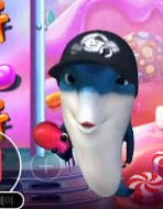 우리 잘생긴 상어 행복했어 너의 찬란한 인생 응원한다