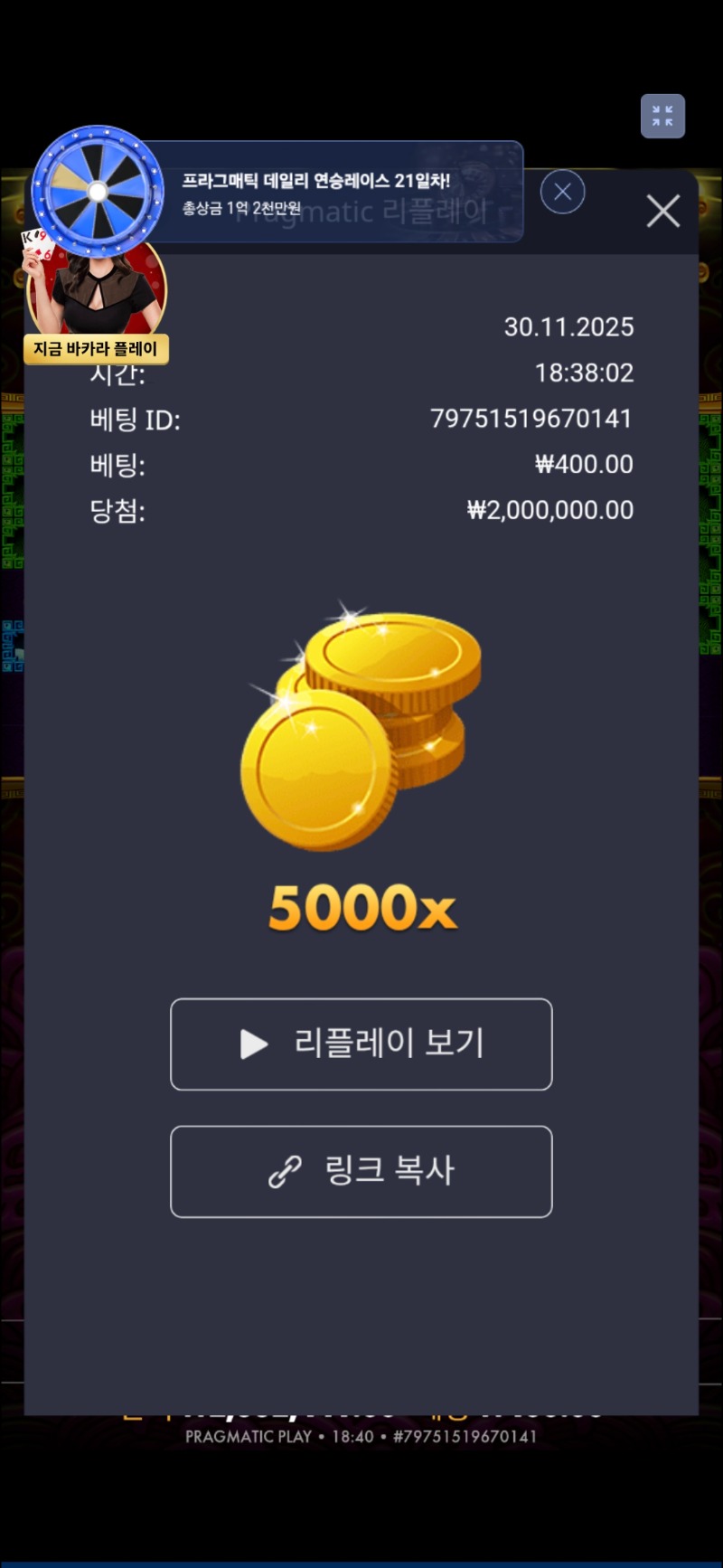 토라메 5000