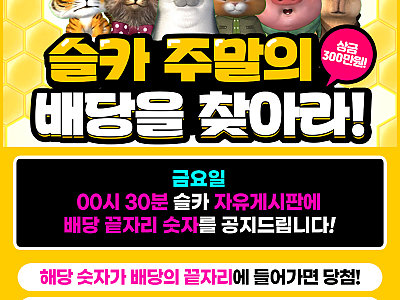 슬카 주말의 배당을 찾아라