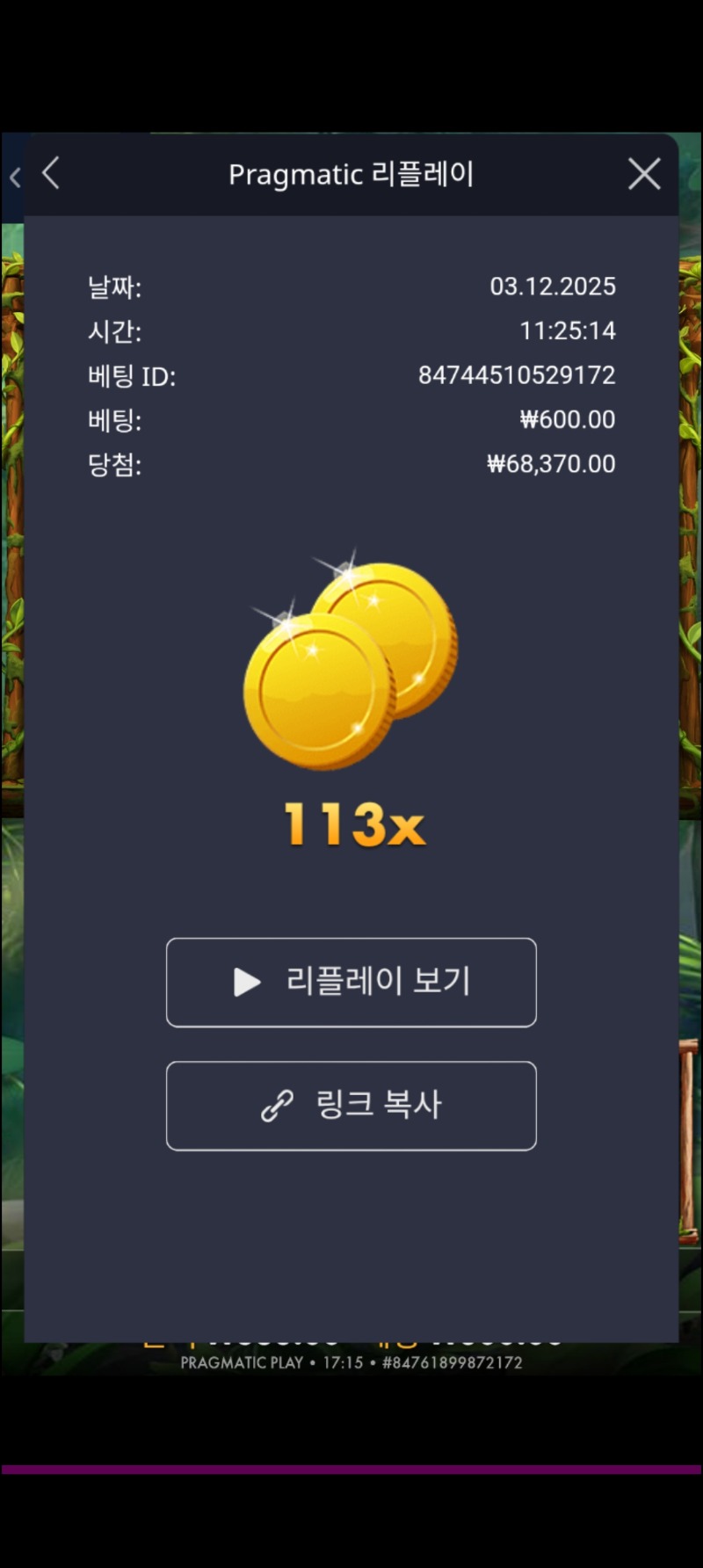 아마존113배