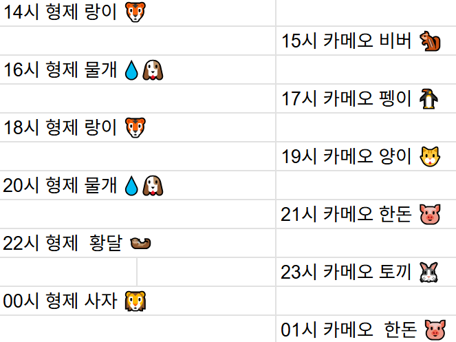 [12월5일] 금일 방송 스케줄입니다