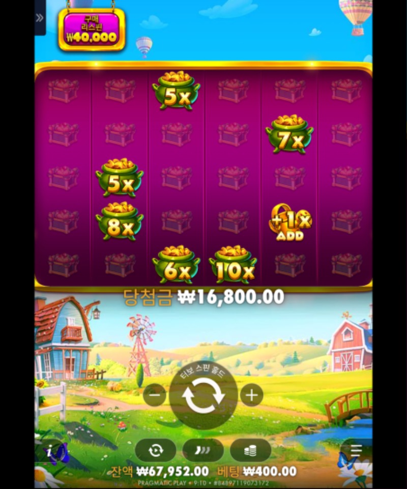 황금조리게40배ㅡㅡ