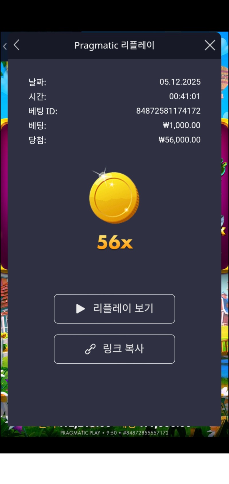 반퍼 황멀56배ㅎ