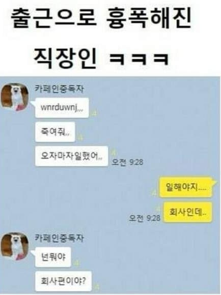 평범한직장인