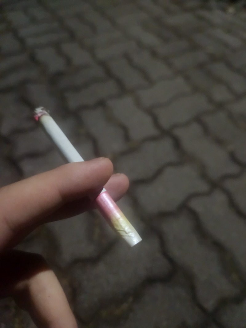 사자형님 야리갓짜!!