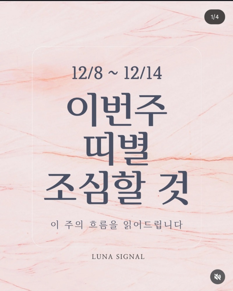 이번주 띠별 조심할것