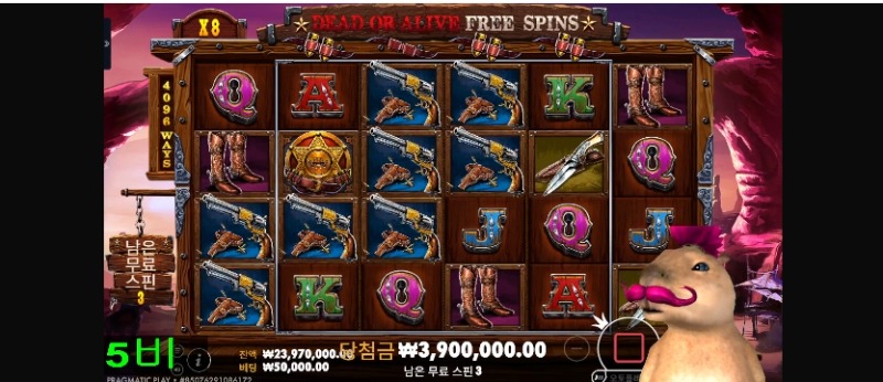 비버 방송 시작했습니다