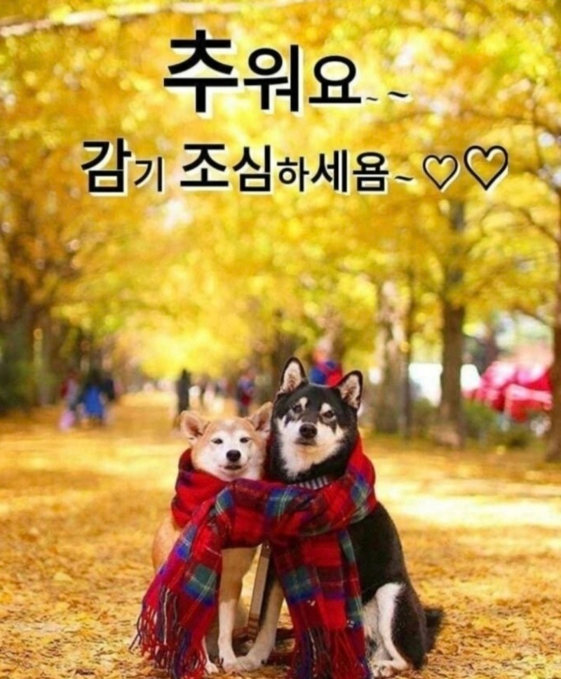 굿밤~~♡♡♡