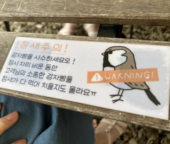 참새를 주의해야 하는 이유ㅠ