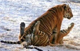 오늘 야참은?????????????? 오늘 야참은??????????????