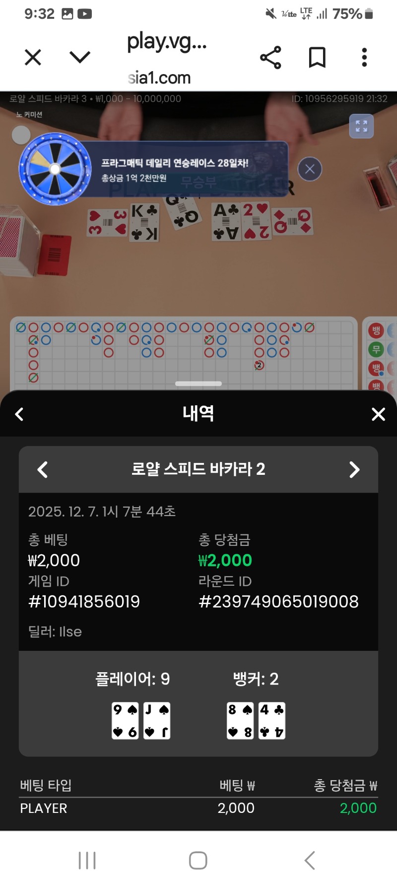 로얄카라 9:2 승