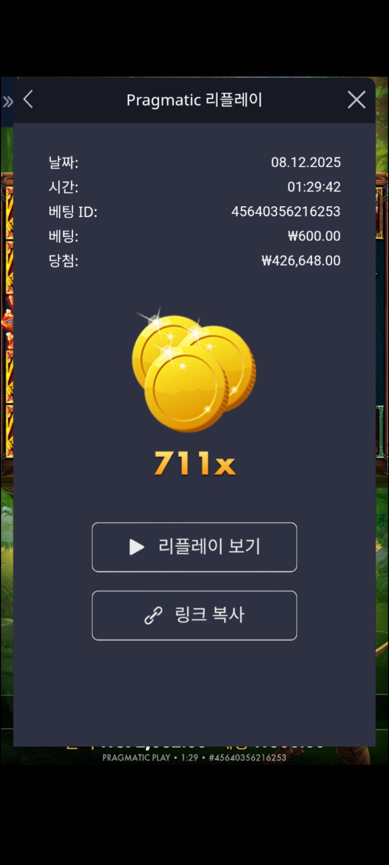 파이어 아처711배