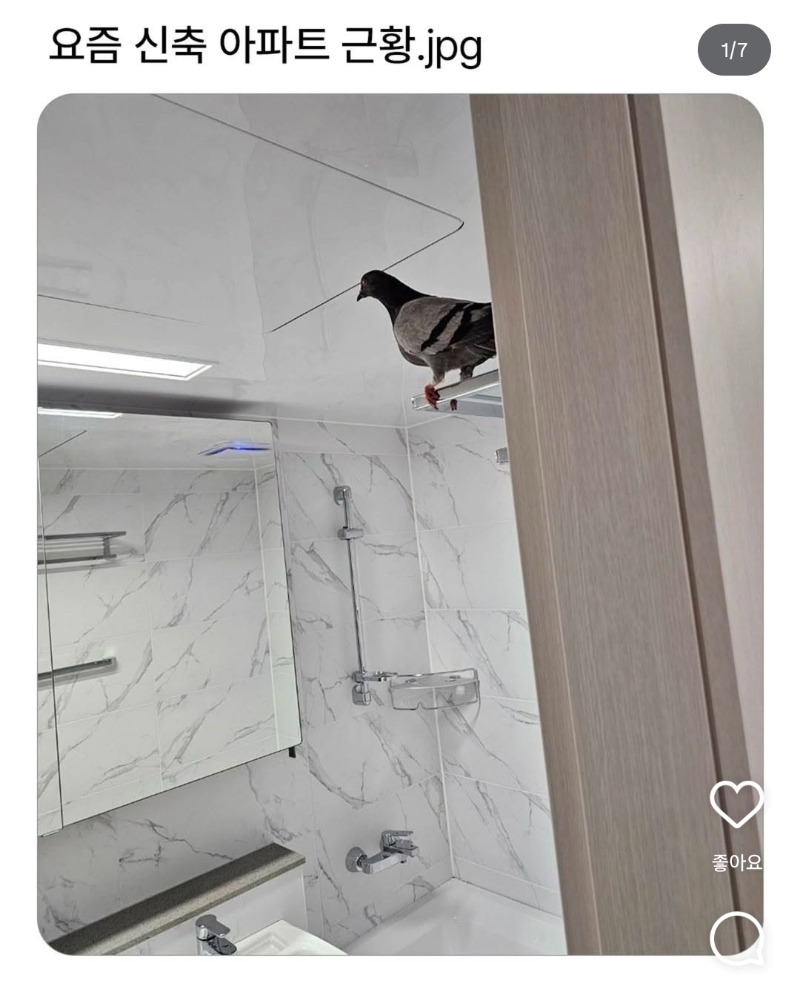 신축아파트 근황