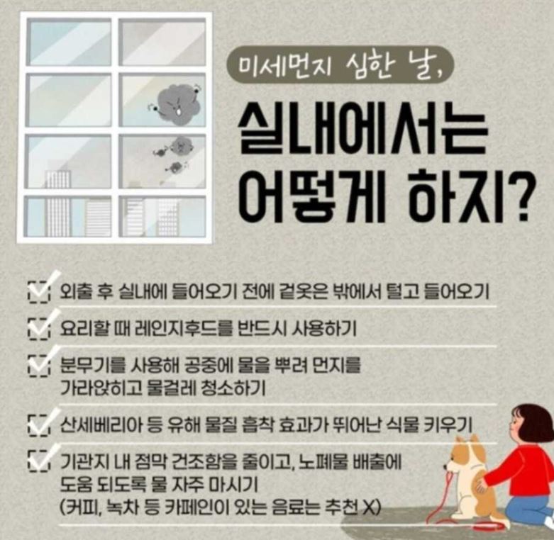 미세먼지심한날