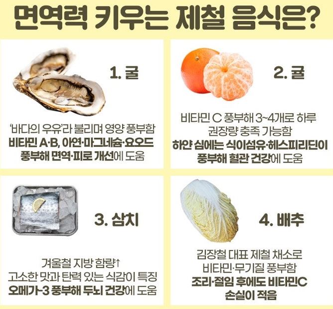 면연력키우는제철음식