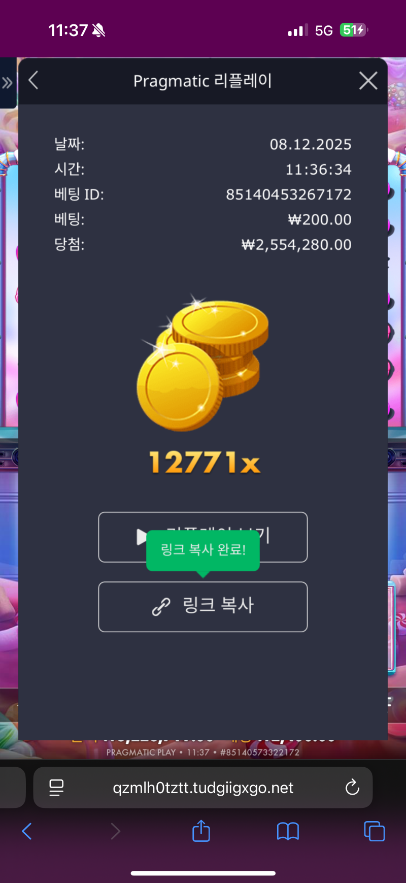 로슈천 12771
