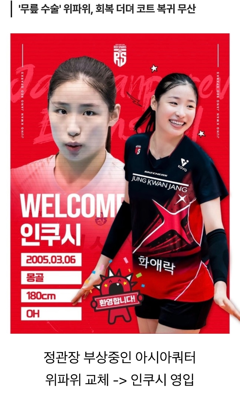 신인감독 김연경 원더독스 근황