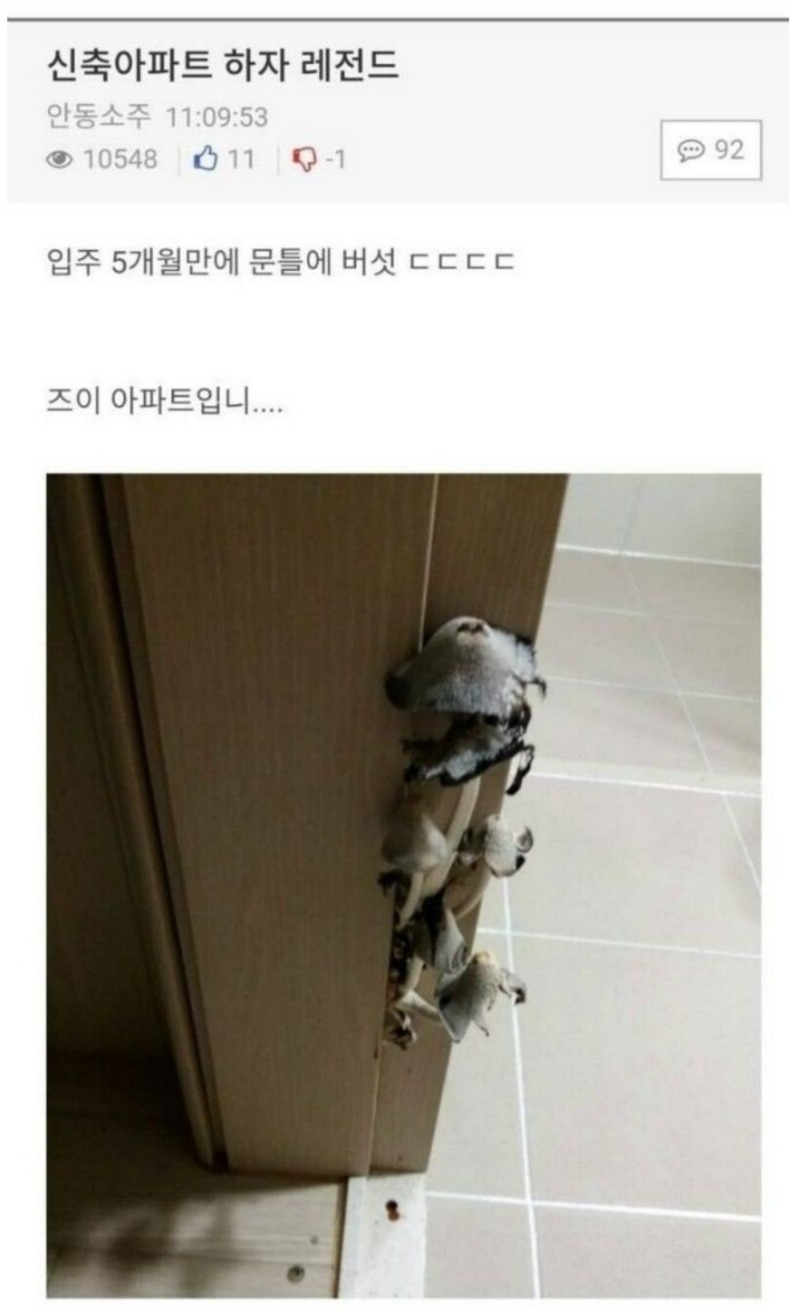 신축아파트 하자 레전드