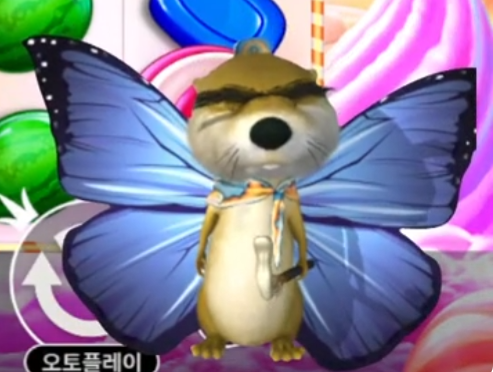 달이오빠 쌍수전...