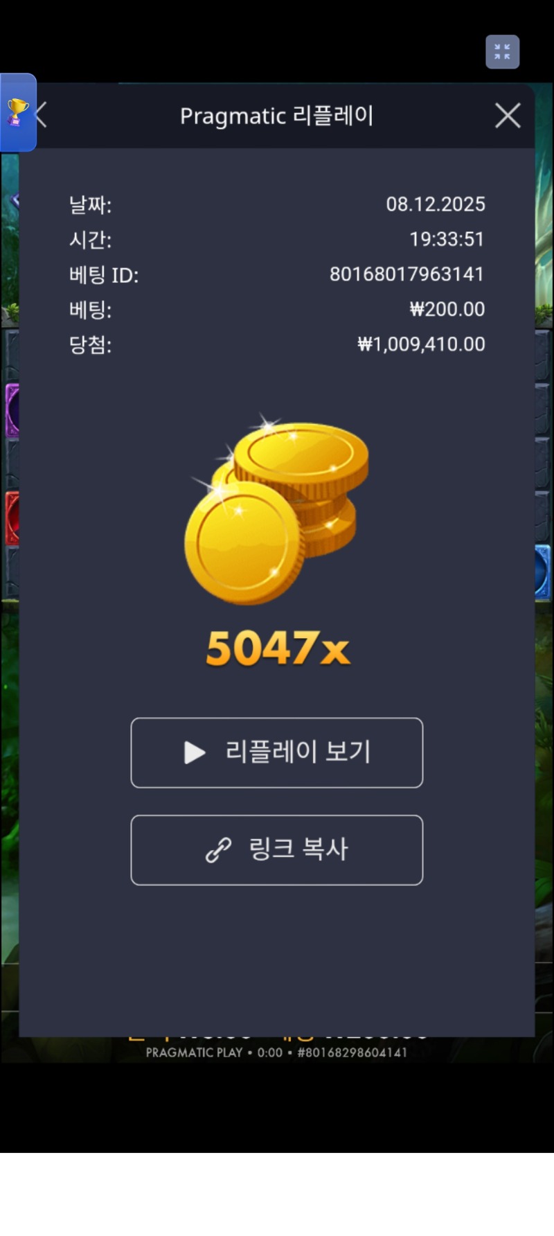 멀린5047배