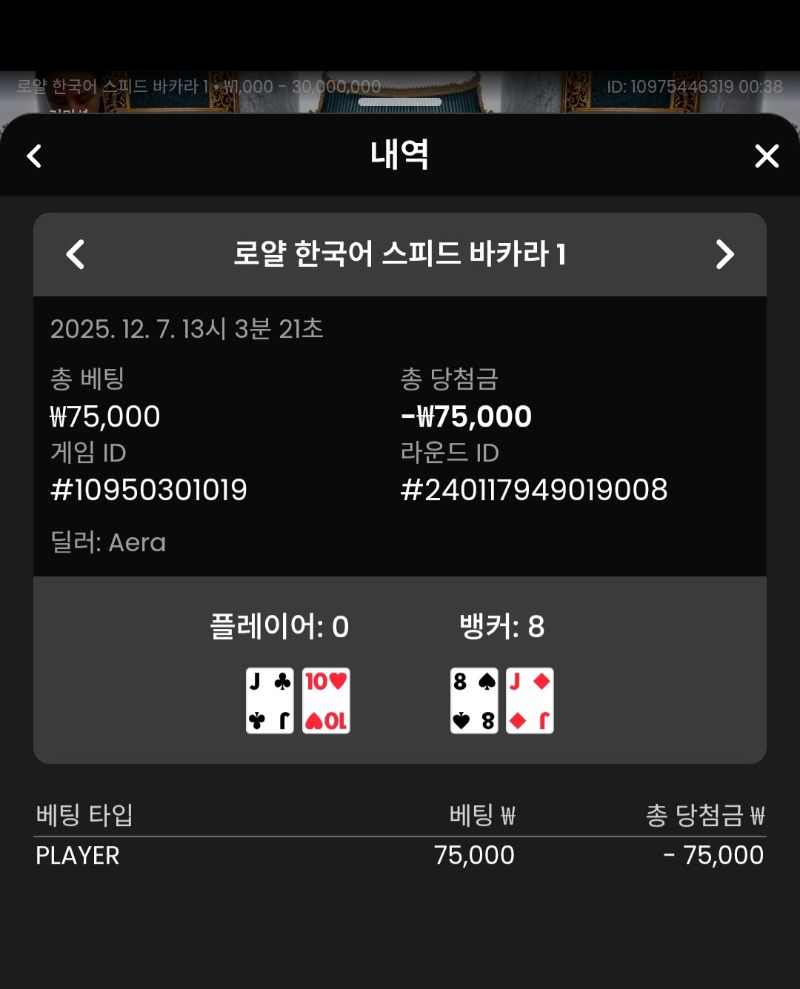 바카라 플레이어 2패